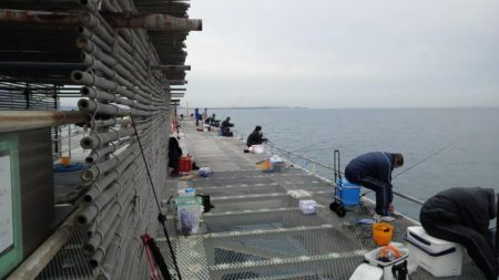 今日もアジは好調　（下関フィッシングパーク）